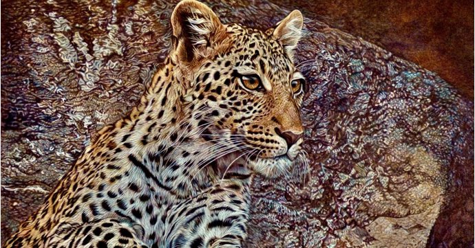 Explore the wonder of wildlife through more than 350 artworks at annual Gloucester exhibition