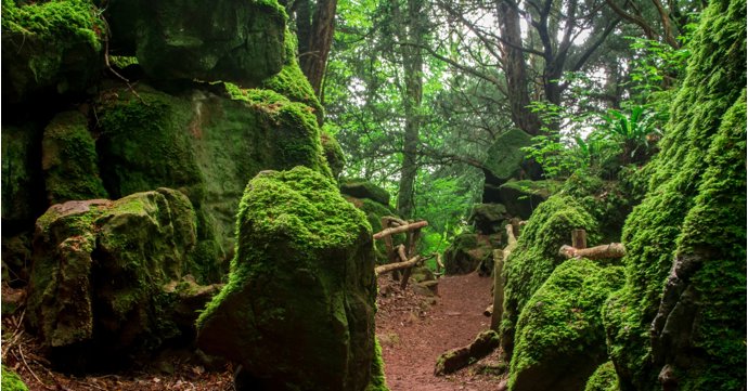 21 most famous film and TV locations in Gloucestershire