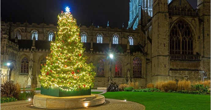 7 tree-mendous Gloucestershire Christmas trees to see