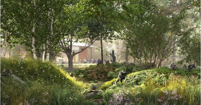 Bristol Zoo Project to transform into an African forest for endangered species