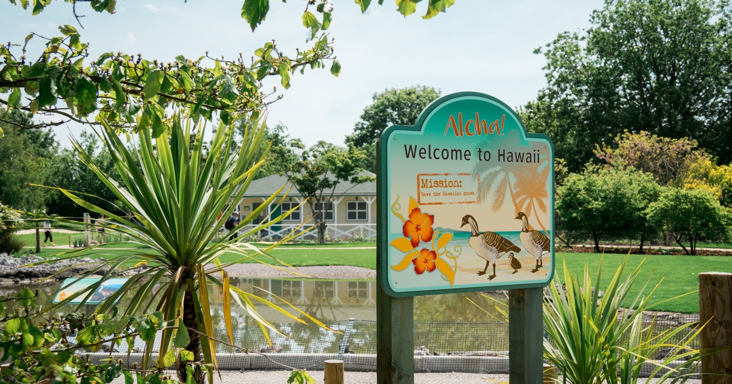 New Hawaiian-inspired exhibit opens at Slimbridge Wetland Centre