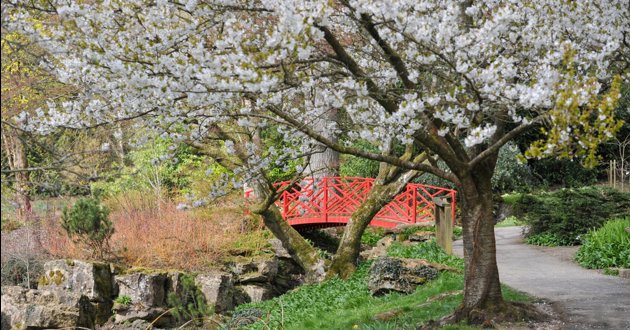 12 reasons to visit Batsford Arboretum all year round