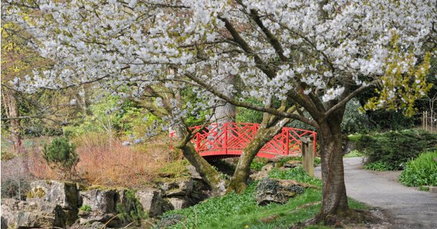 12 reasons to visit Batsford Arboretum all year round