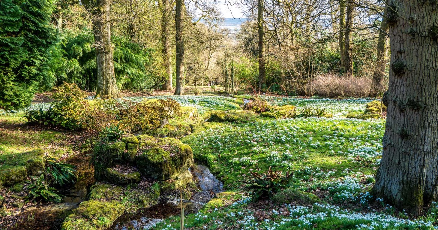 12 reasons to visit Batsford Arboretum all year round