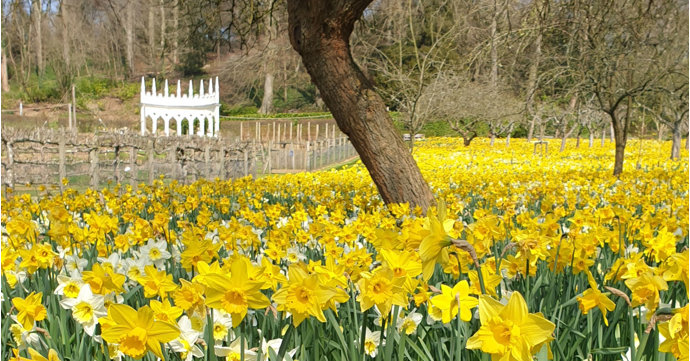 12 reasons to visit Painswick Rococo Garden all year round