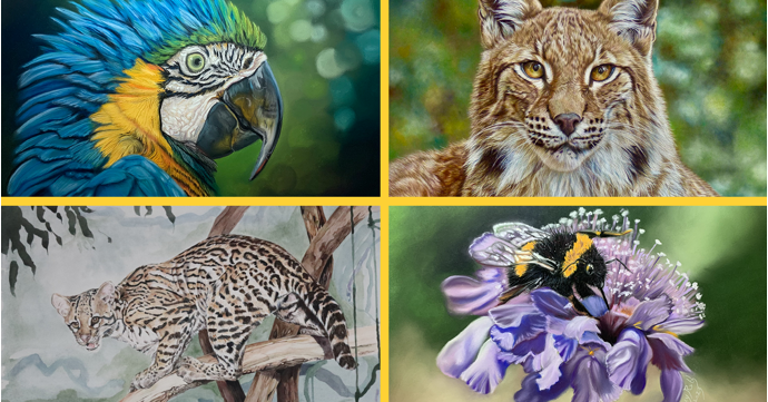 See over 320 artworks celebrating the beauty of wildlife this summer 2024