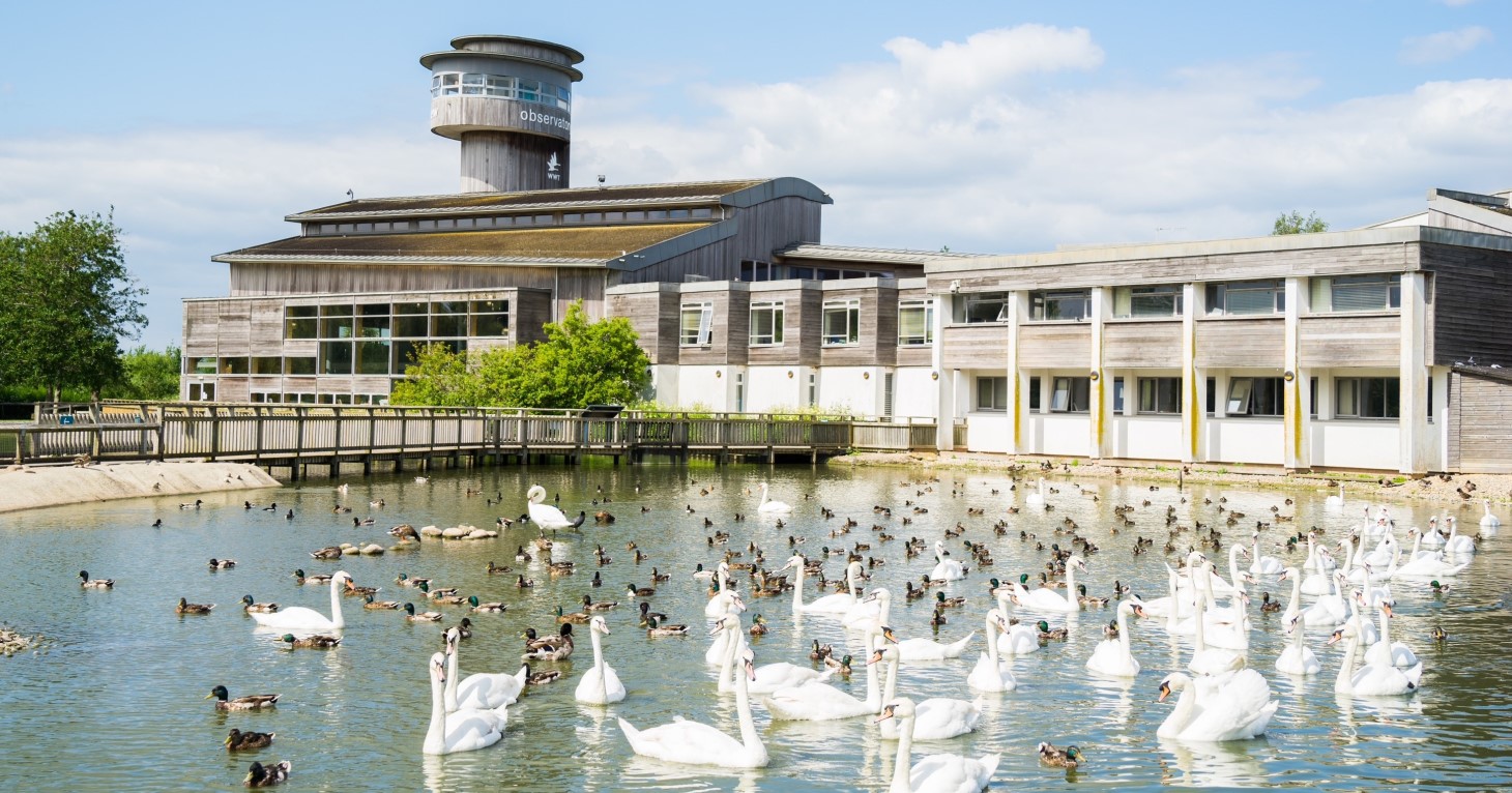 Slimbridge Wetland Centre