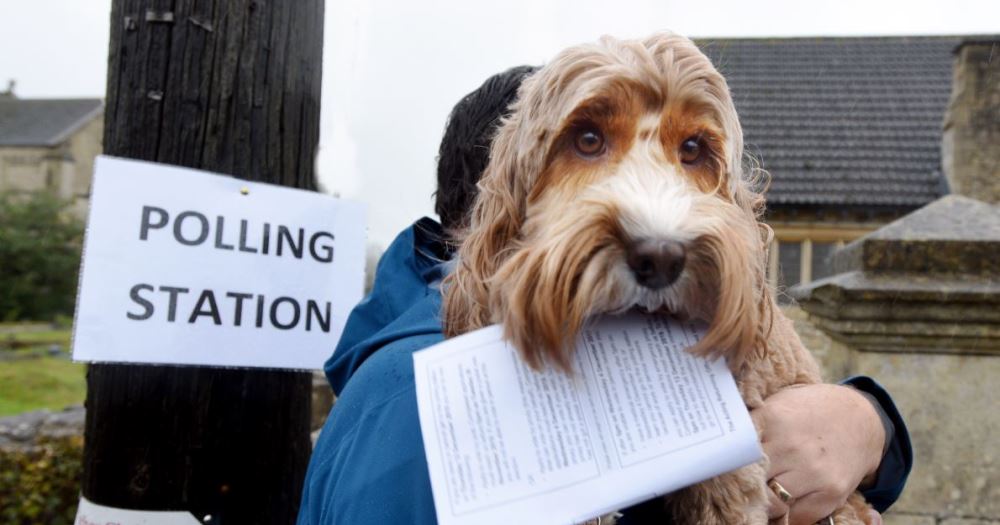 Stroud voters are some of the first in the UK to require photo ID