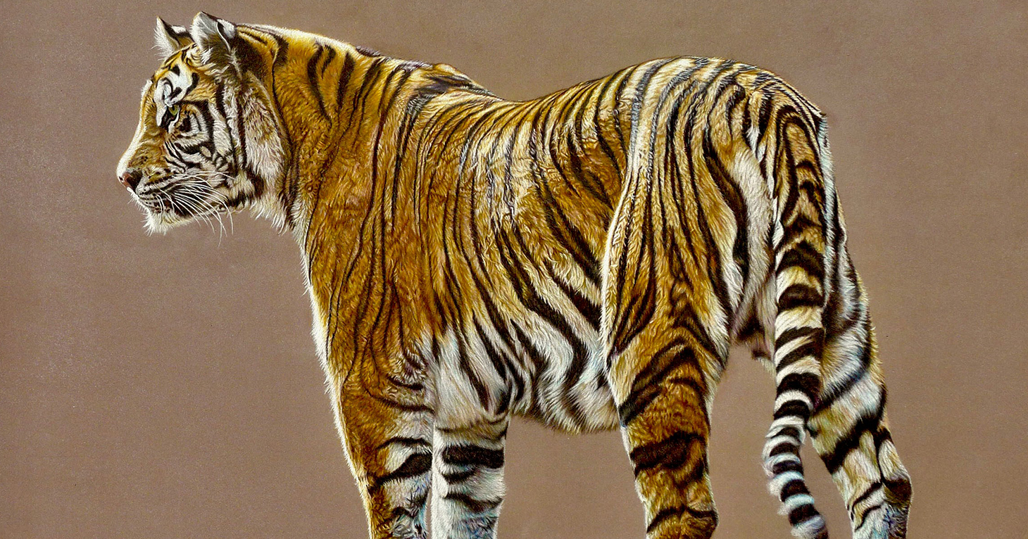 The Wildlife Art Society International Annual Exhibition 2026 at Nature in Art