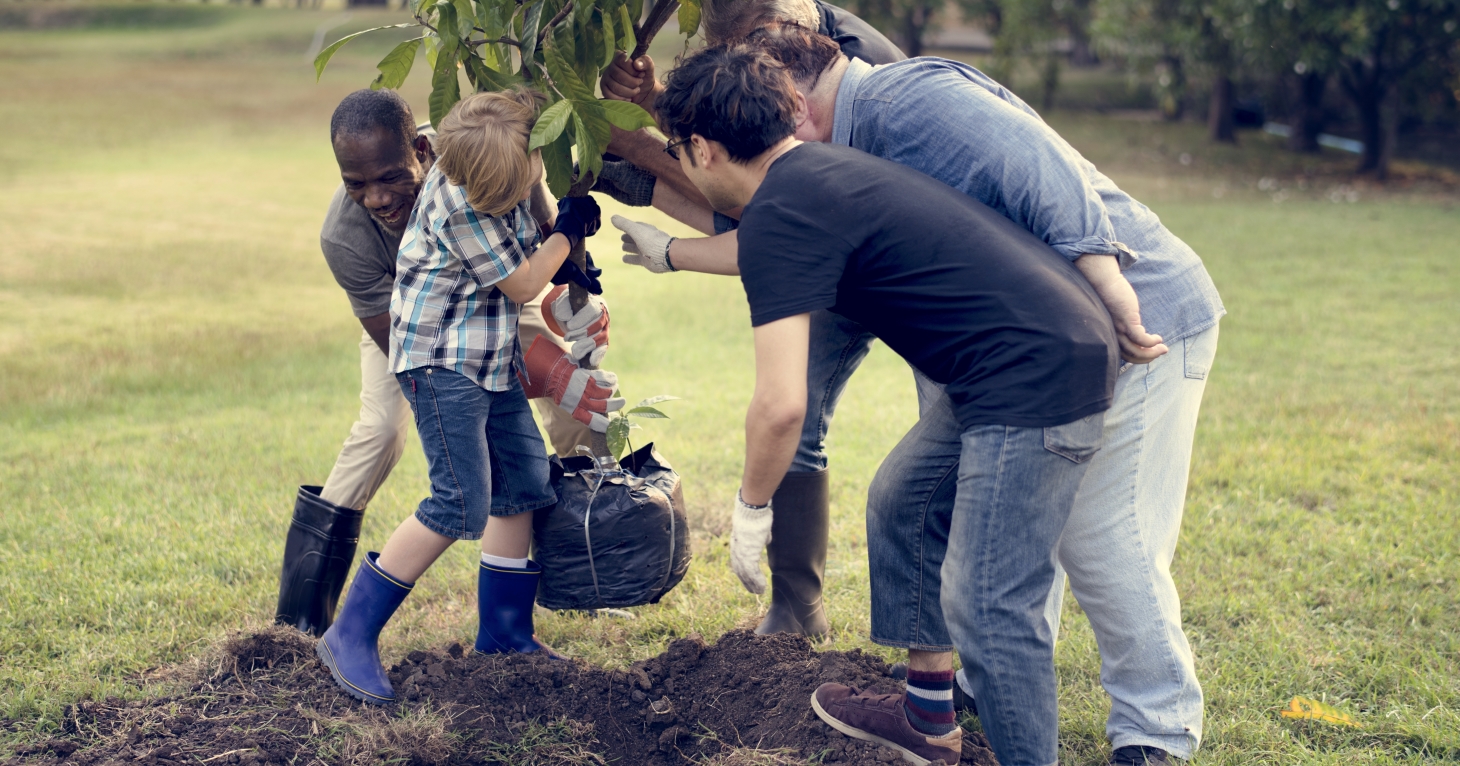 Volunteers needed for Cheltenham tree planting project to honour Queen Elizabeth II