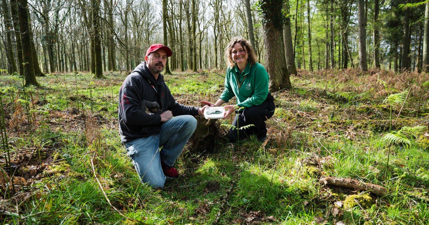 Walker unearths Bronze Age axe head in the Forest of Dean