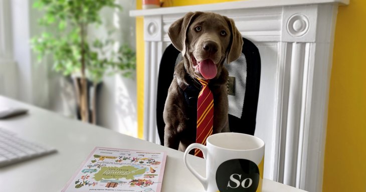 SoGlos appoints canine consultant for 'official' dog-friendly reviews