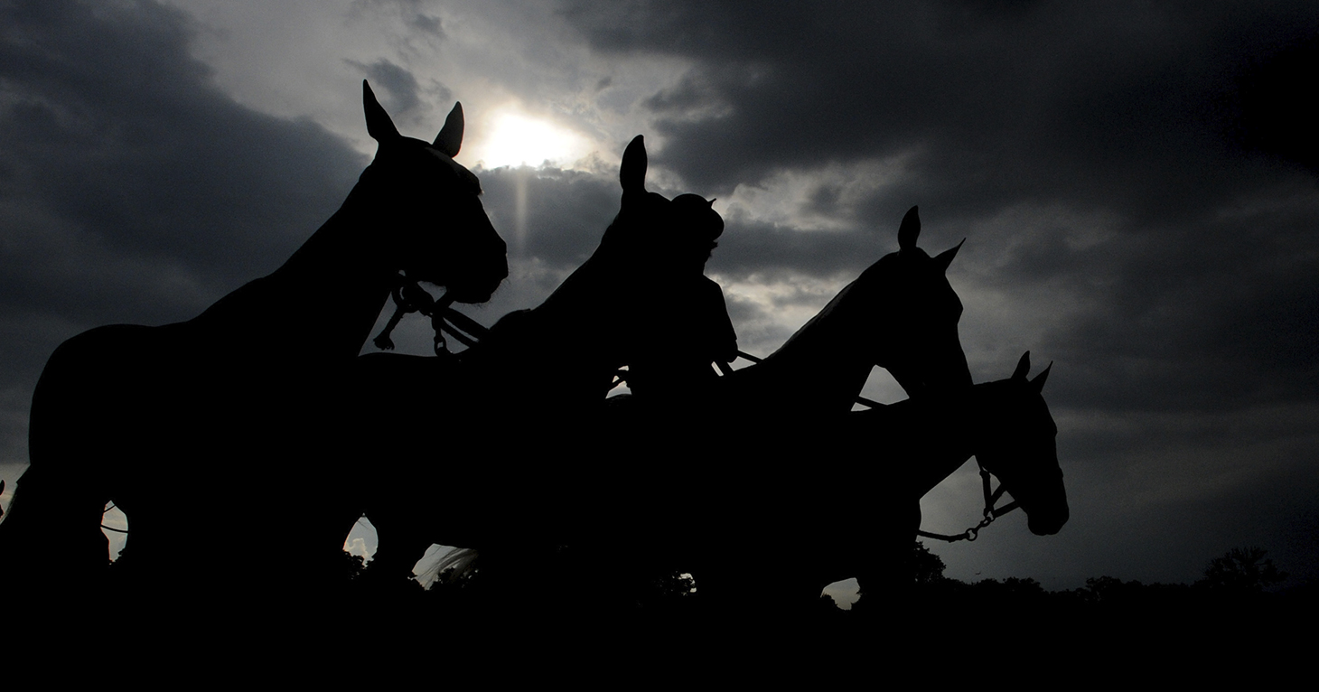 Talksport presenter Alan Brazil reveals who he&#x27;s backing at Cheltenham Festival