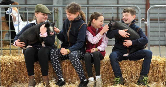 Celebrate farming heroes and meet cuddly creatures at CountryTastic