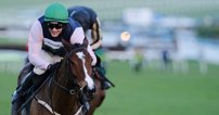 Cheltenham Racecourse offers annual memberships, allowing the most dedicated horseracing fans access to members’ only areas – among many other things.  John Hoy