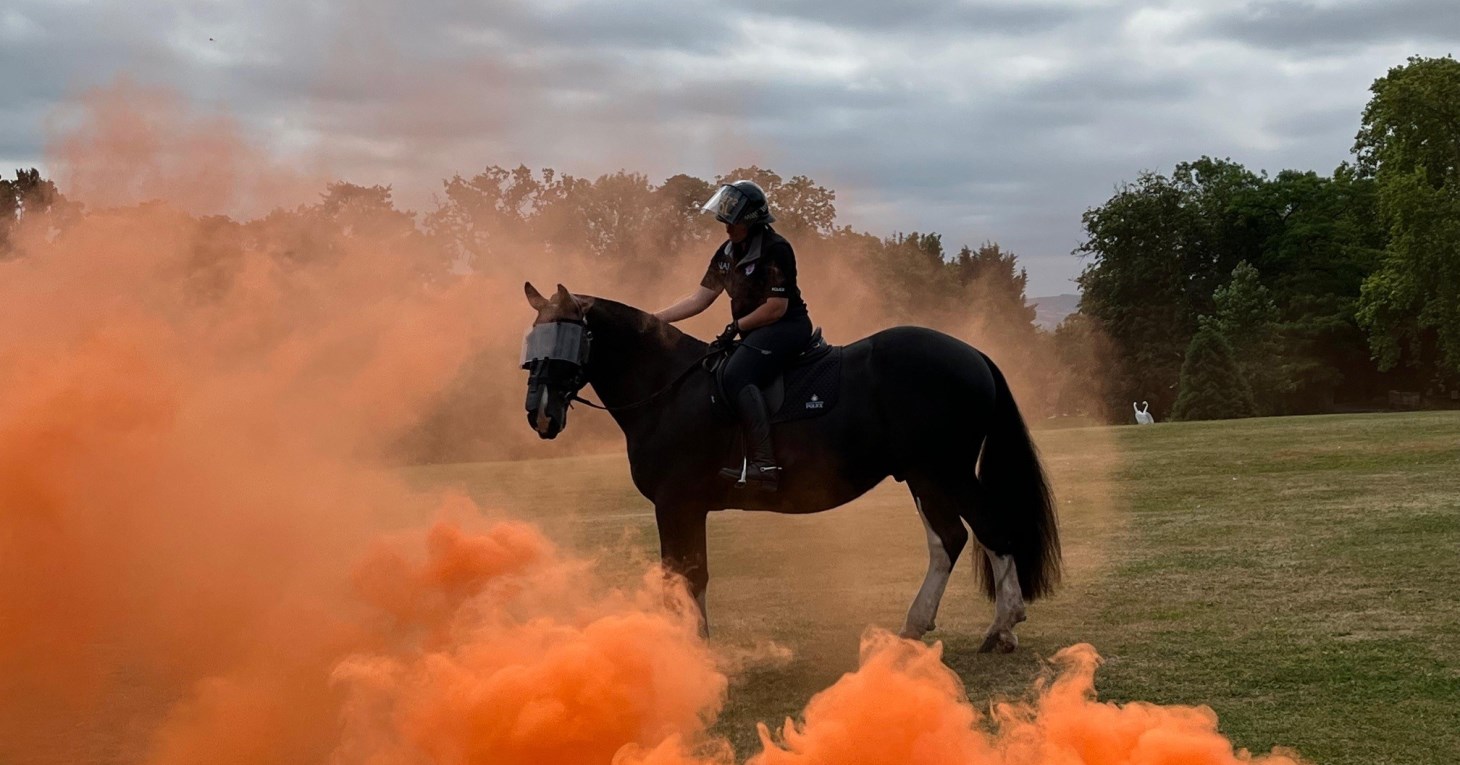 Cotswolds country show returns for 35th anniversary with its best line-up yet