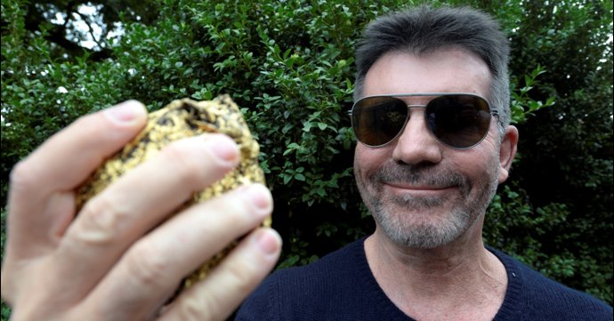 Simon Cowell bids on gold rhino dropping in the Cotswolds