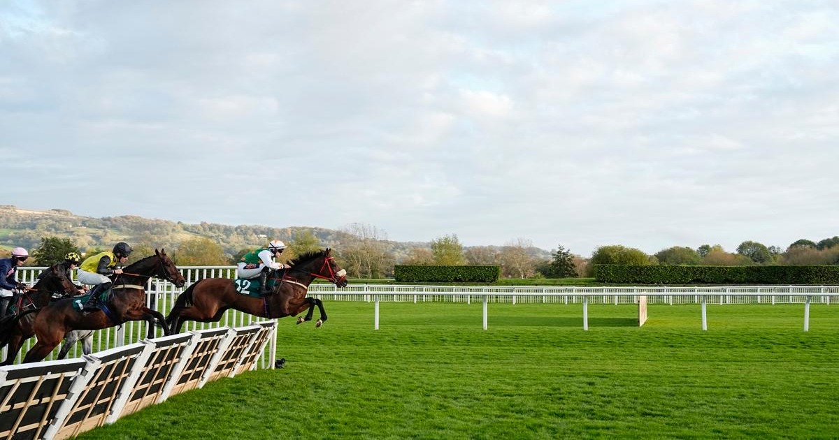New horse racing season kicks off with The Showcase at Cheltenham Racecourse
