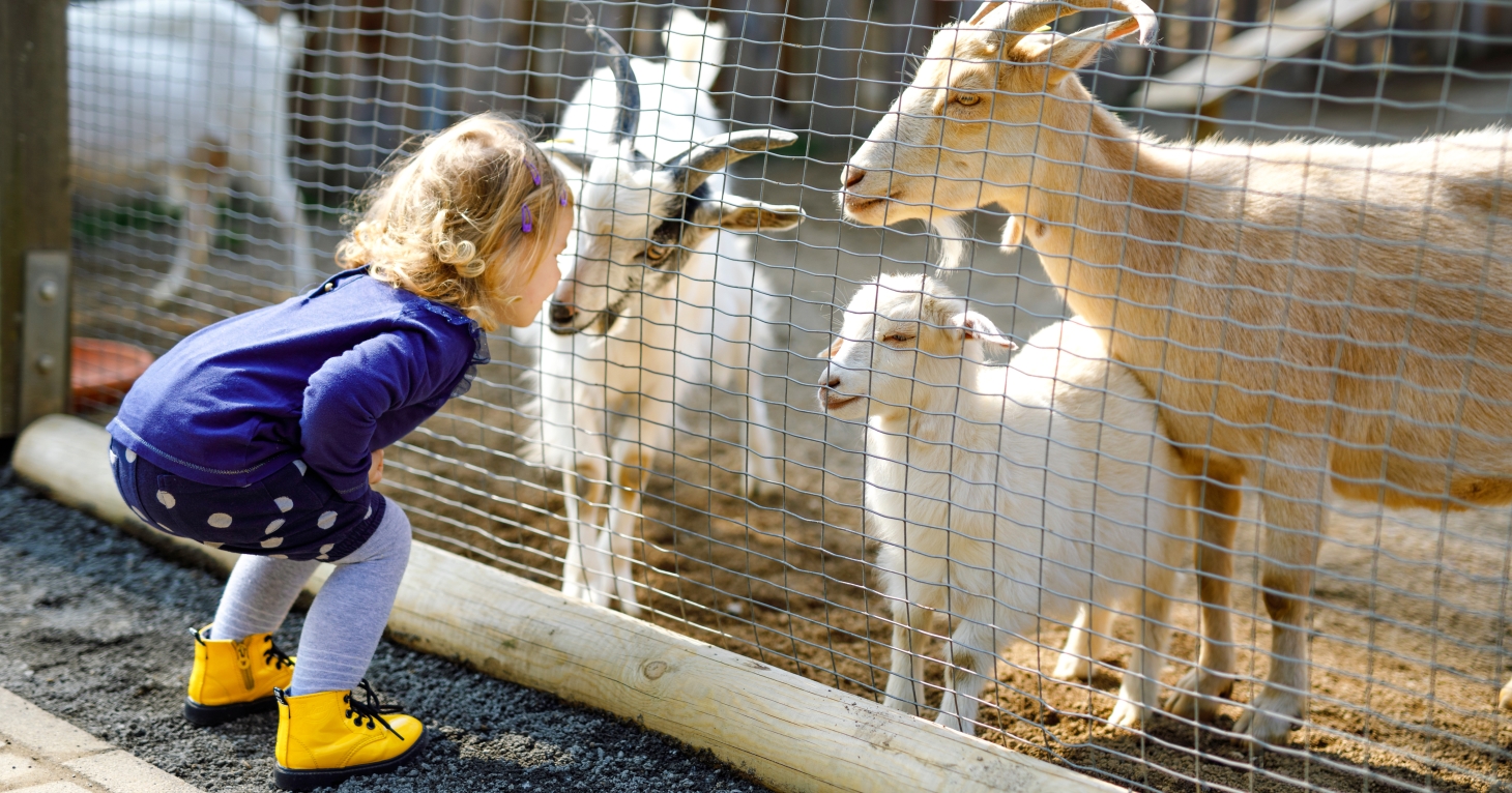 Discover the best family fun with SoGloss round up of exciting activities and places to visit in the Cotswolds, this 2022.