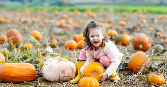 6 pick your own pumpkin patches in Gloucestershire