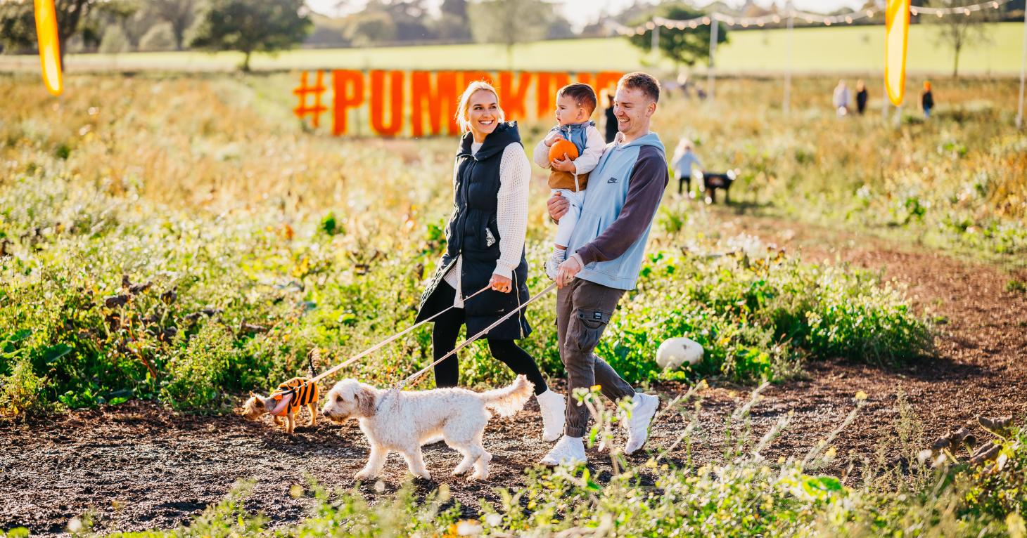 5 best pumpkin picking patches in Gloucestershire