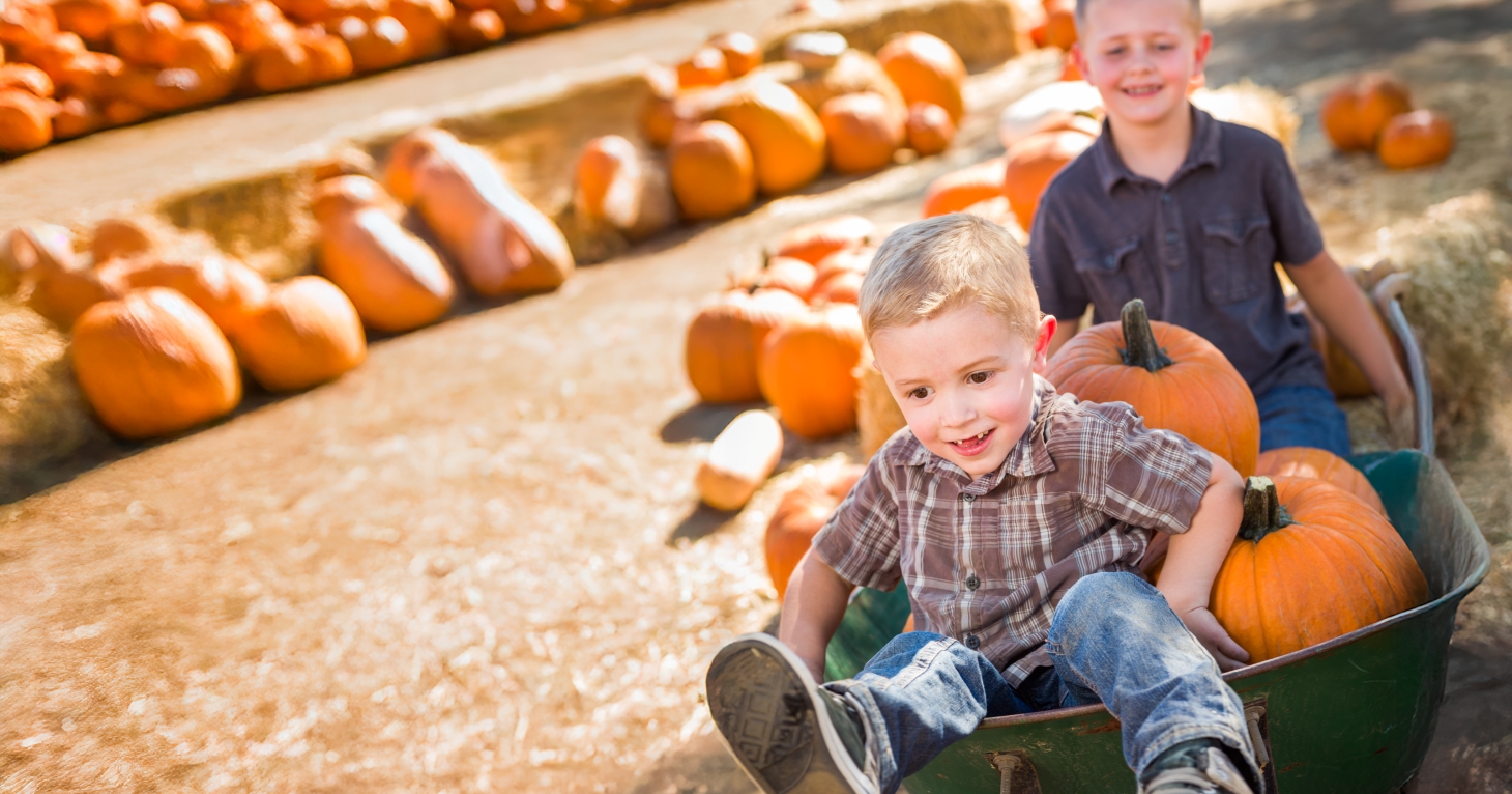 7 best pumpkin picking patches in Gloucestershire