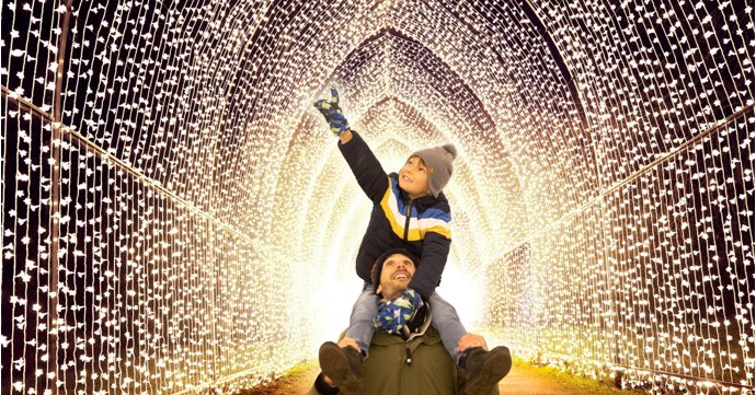 Christmas at Westonbirt: Experience a new festive light trail in Gloucestershire
