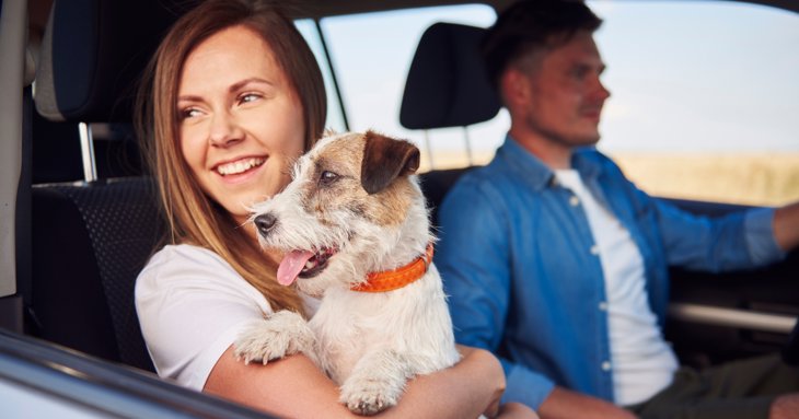 Male and female couple travelling in the car with their dog