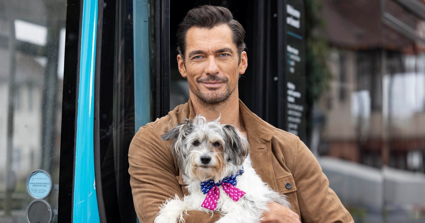 David Gandy creates special new bow tie for senior dogs