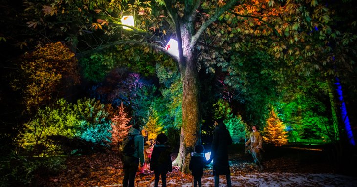 Experience Westonbirt Arboretum’s new Enchanted Christmas light trail in 2022.