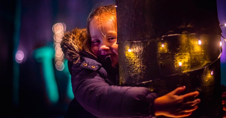 Expect magic, colour and sparkle at Cotswold Farm Park's Enchanted Light Trail in 2022.