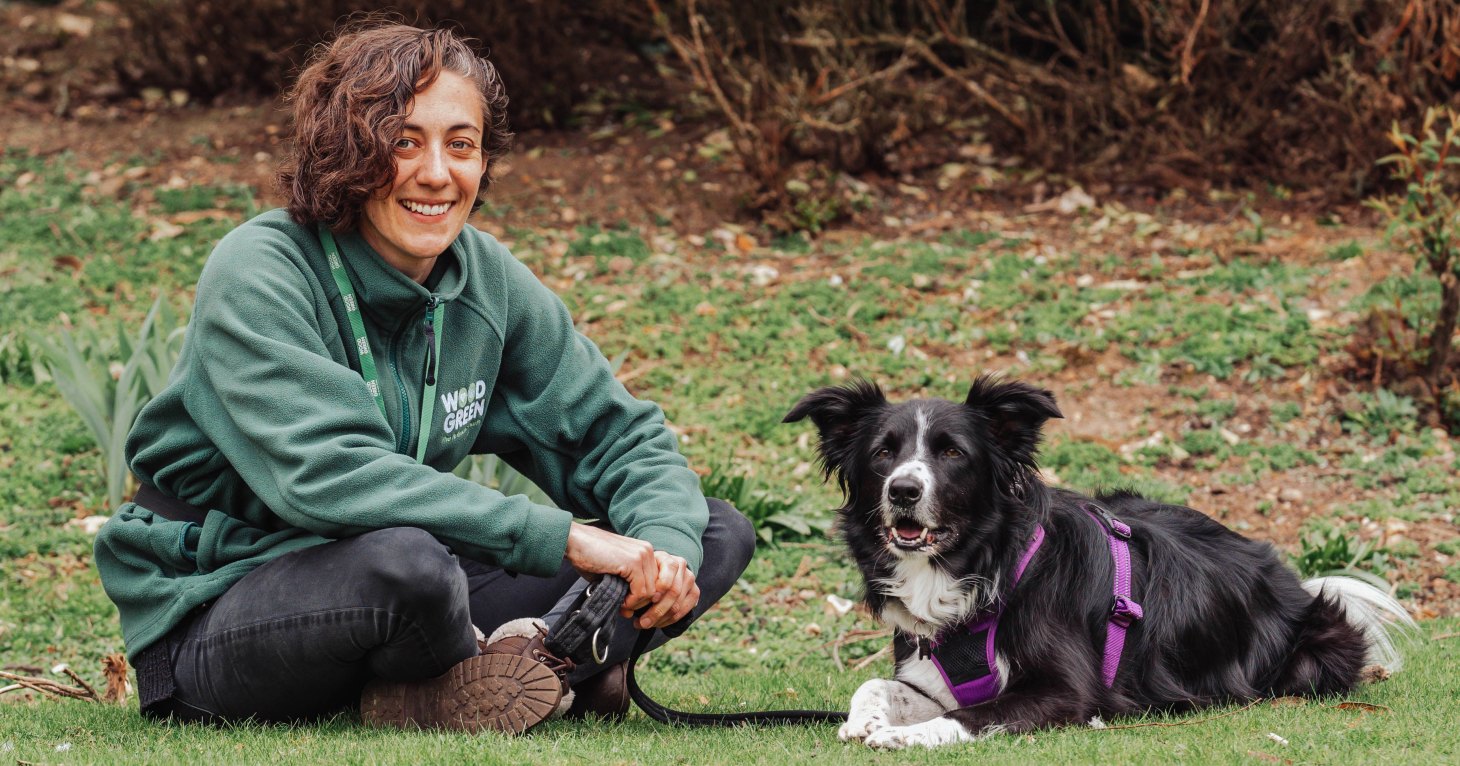 13 exciting careers that an animal degree from Hartpury University could lead to