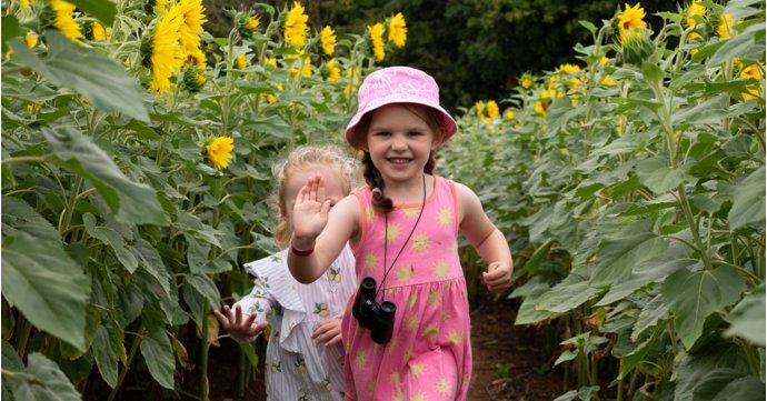 Flower Festival at Cotswold Farm Park