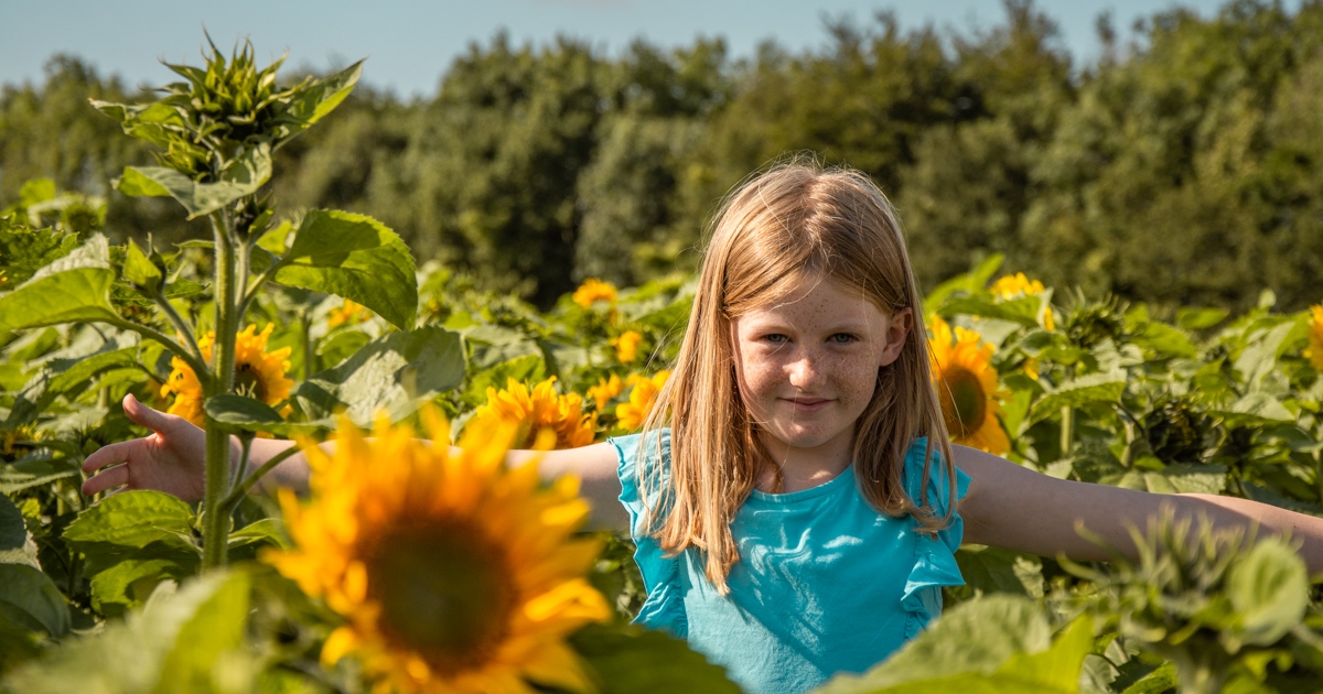 Flower Festival 2024 at Cotswold Farm Park