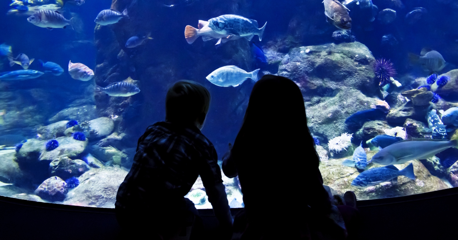 12 fun family days out within an hour and a half’s train journey from Gloucestershire