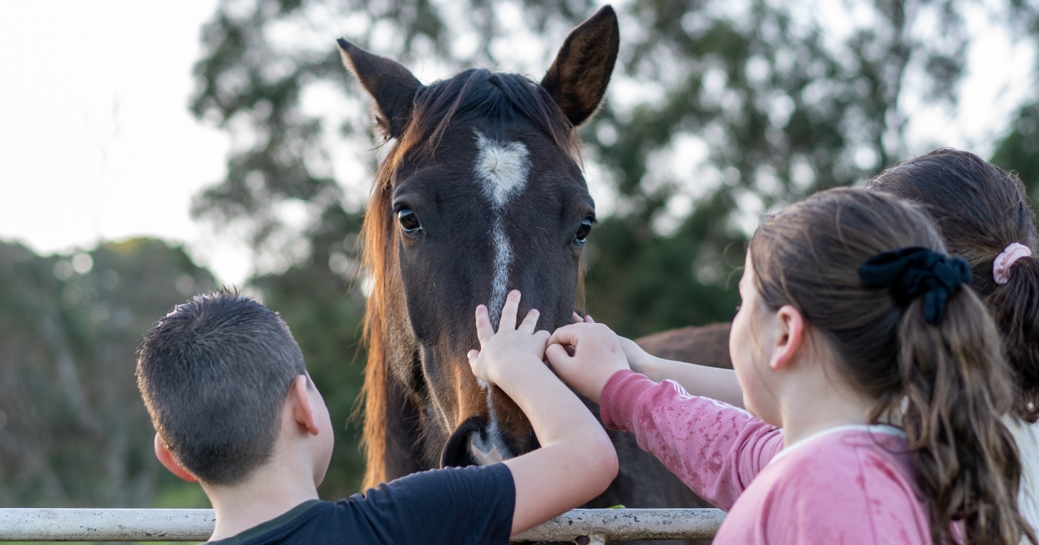 7 Gloucestershire community projects boosted by Hartpury University and Hartpury College