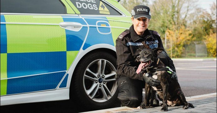 Gloucestershire police dog wins Kennel Club hero award at Crufts
