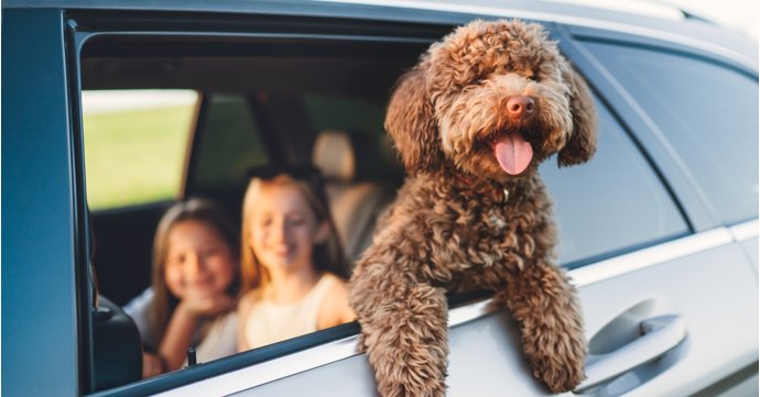 Gloucestershire service station ranked best in the UK for dogs