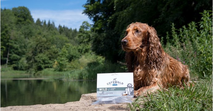 Gloucestershire's Most Adventurous Dog competition