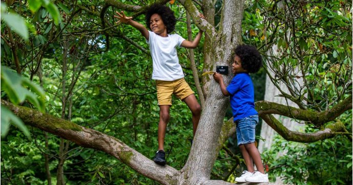 Westonbirt Arboretum unveils new family play trail for summer holidays