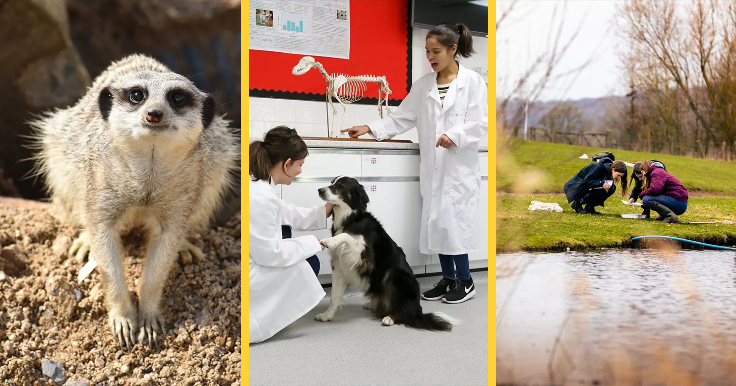 Hartpury University reveals how a love of animals and a passion for nature could pave the way to a lifelong career