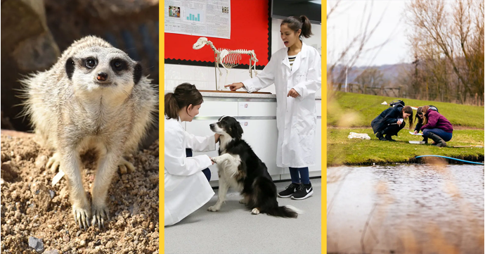 Hartpury University reveals how a love of animals and a passion for nature could pave the way to a lifelong career