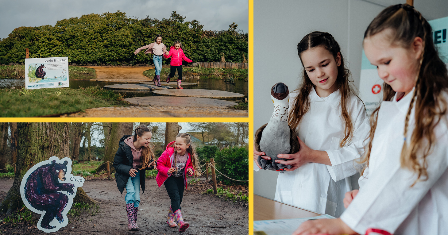 Gozzle at Slimbridge Wetland Centre