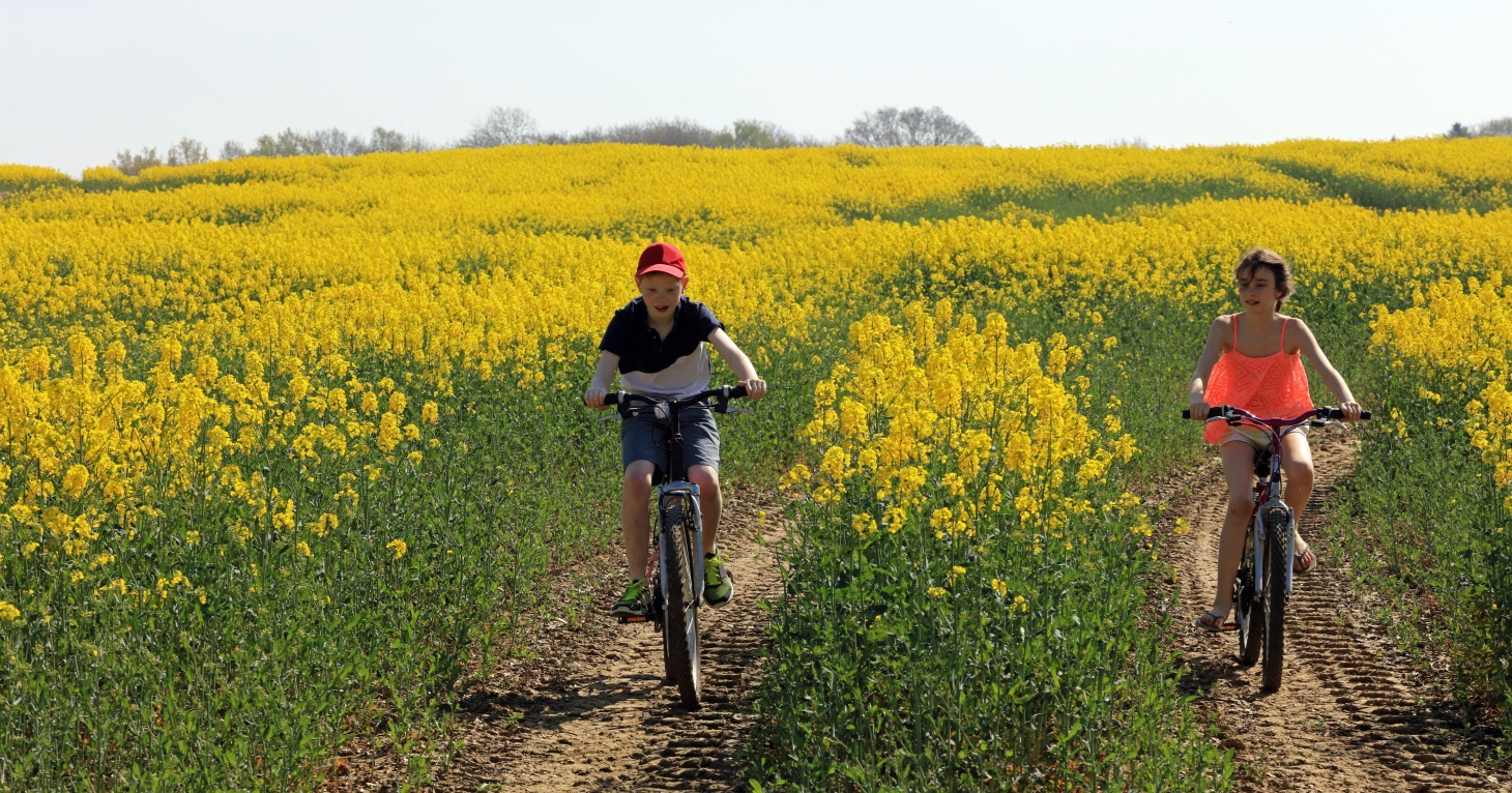 9 luxurious family staycations in the Cotswolds