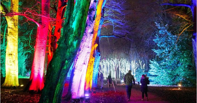 7 magical Christmas light trails in Gloucestershire