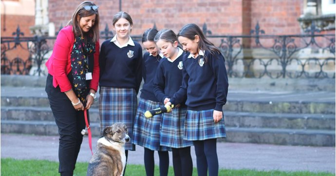 'Excellent pastoral care underpins everything our pupils do and achieve' — Meet the pastoral lead at Malvern St James