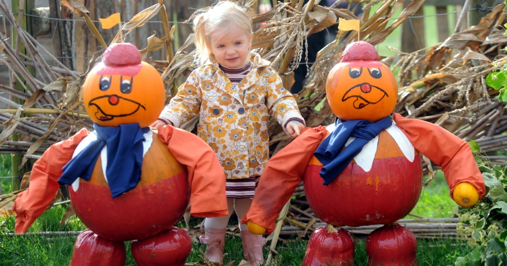 The daytime family fun event promises to entertain all ages.