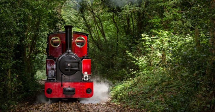 Perrygrove Railway offers visitors a unique opportunity to ride on a private railway to explore the picturesque woodland area.