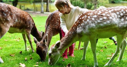 Prinknash Bird and Deer Park reopens after six-year closure
