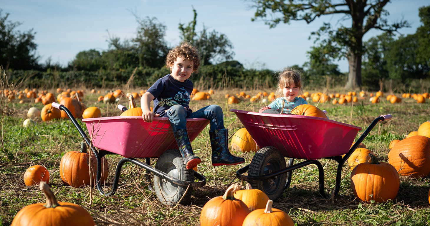 Pick your own pumpkin patch returns to top Gloucestershire attraction
